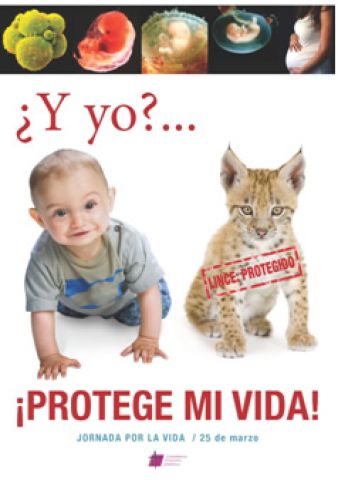 Fetos contra Linces
