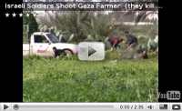 Saltan a la red videos del asedio israelí a Palestina