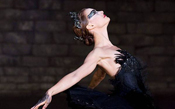 Cisne Negro