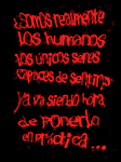 Yo sí soy animalista