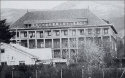 Preventorio de Guadarrama, la bestia avanza