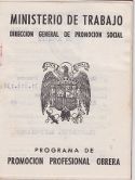 Doctor Vela, Patronato de Protección a la Mujer y cursos del PPO