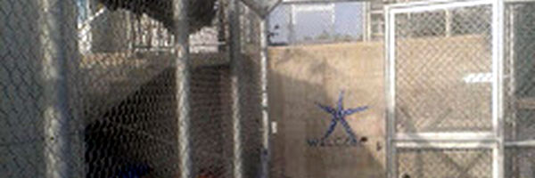 No son refugiados si no tienen refugio