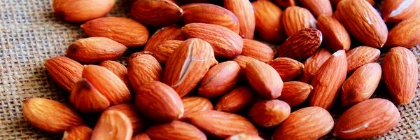 Bocaditos energéticos: Ideas para calmar el hambre entre comidas