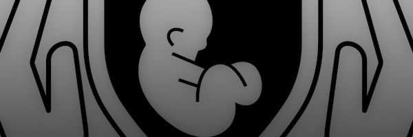 Logro revolucionario: embrión humano modelado sin óvulo ni espermatozoide