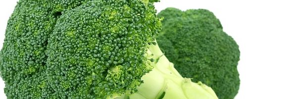 Platos nutritivos para la familia: recetas fáciles y deliciosas