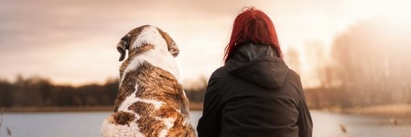 Educación canina: cómo entrenar a tu perro para una convivencia armoniosa